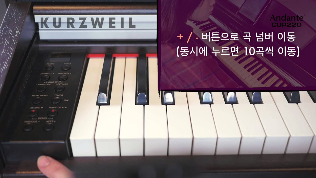 영창뮤직 디지털피아노 커즈와일 cup 220 데모 곡 듣기