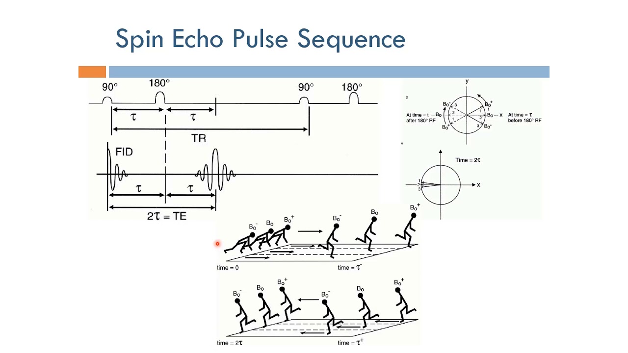 Short Topics in Magnetic Resonance Imaging: Spin Echo Pulse Sequence (Arabic Narration)
