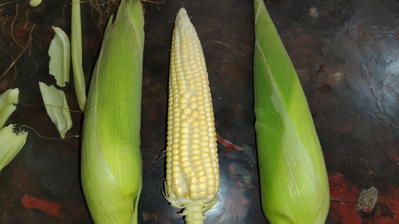 Dream Laxmi Roy  is liveমনের মাঝে তুমি 🫶💖😘