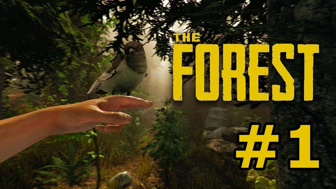 Zapis Live The Forest #1