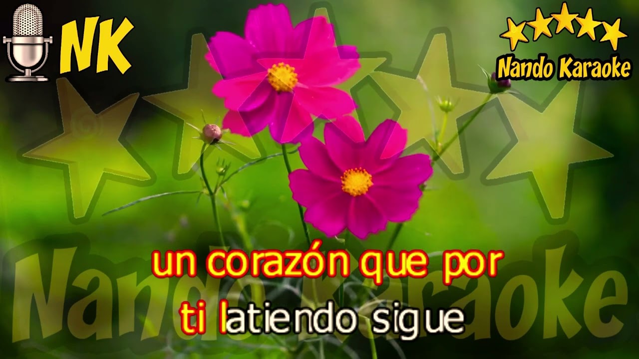 TÚ ME PIDES QUE TE OLVIDE - Leo Dan Karaoke