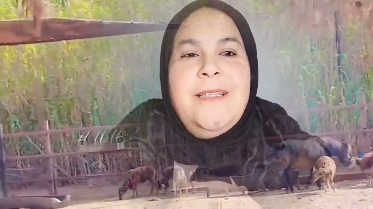 😱🔥مي كبوره صدمت المتابعين وسميره ولات سمير ورشيده وحسن شهدو فالمخسور😲