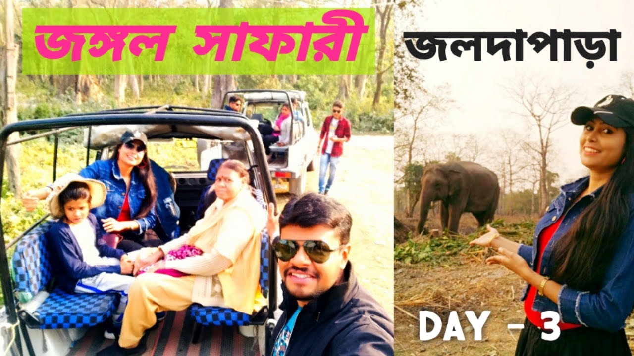 Jaldapara National park full journey |  জঙ্গলে জীপ সাফারী কিভাবে বুক করবেন | Ticket price |