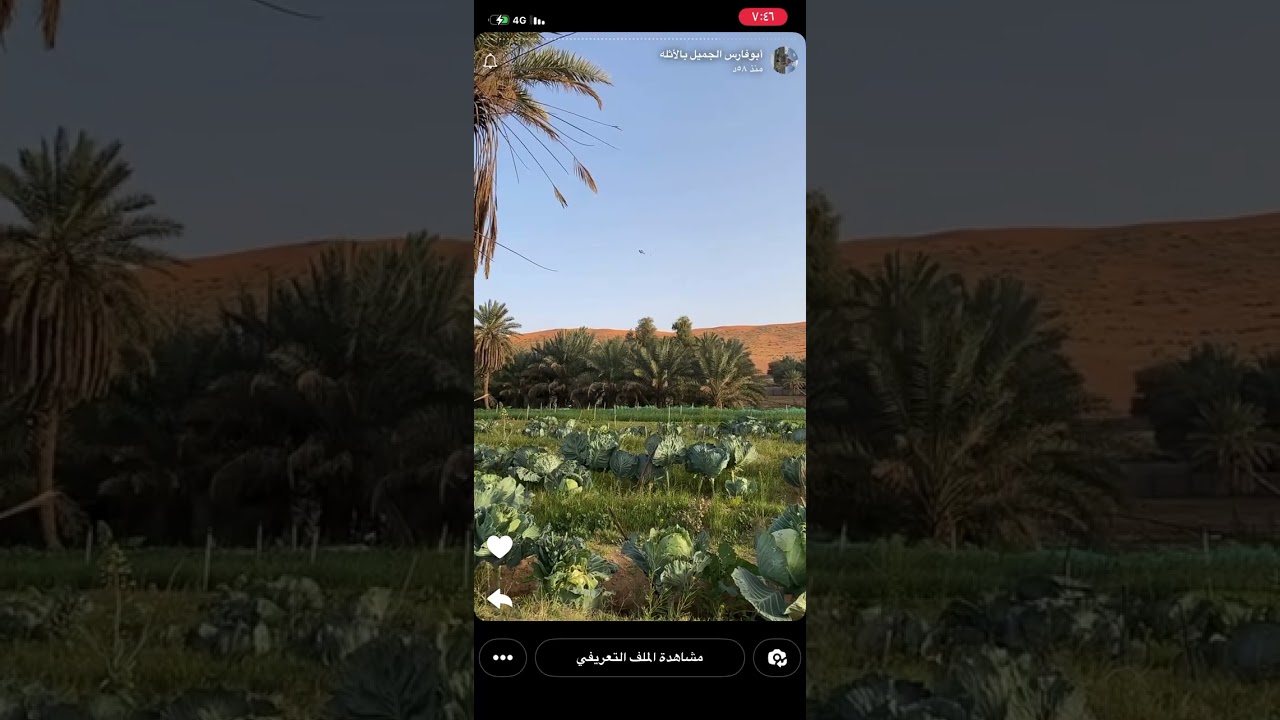 طلبت الطلاق من زوجهابسبب تحريض من صديقتهافماذا حدث بعد ذالك