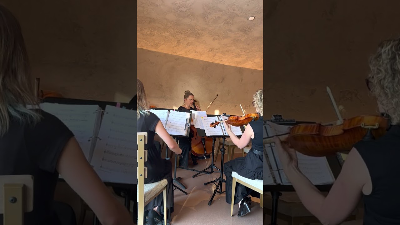 Nothing Else Matters by Metallica - Harmony Strings Quartet