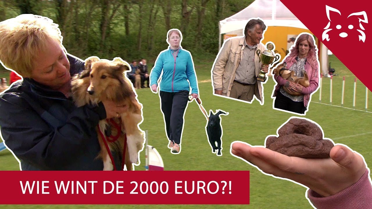 ONNEDI leert over DROLLEN & een grootse FINALE! - Fikkie TV