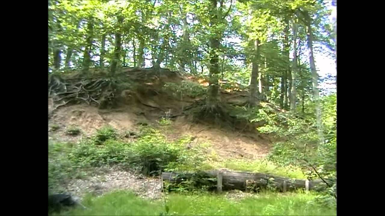 Dalheim R&ouml;dgen: Zwischen Motte und Hexenturm