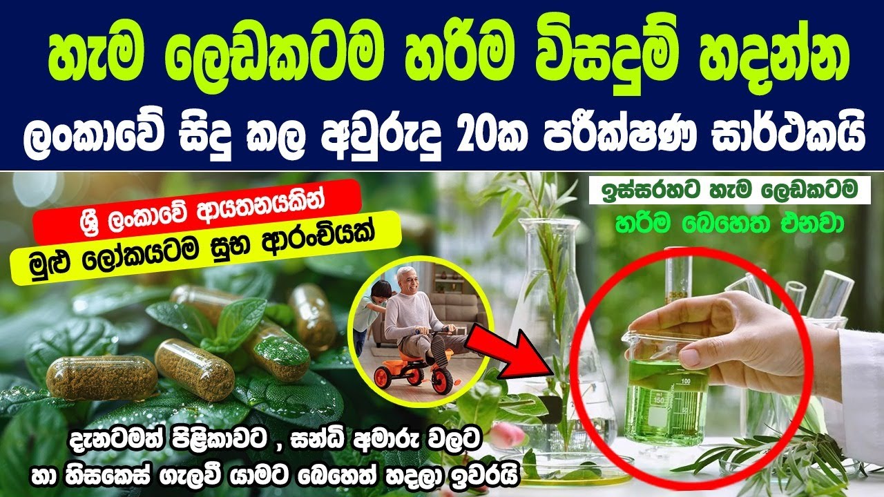 ගස් වලින් හරිම කොටස වෙන් කරලා හැම ලෙඩකටම බෙහෙත් හදන තාක්ෂනය දැන් ඉතාම දියුණුයි.