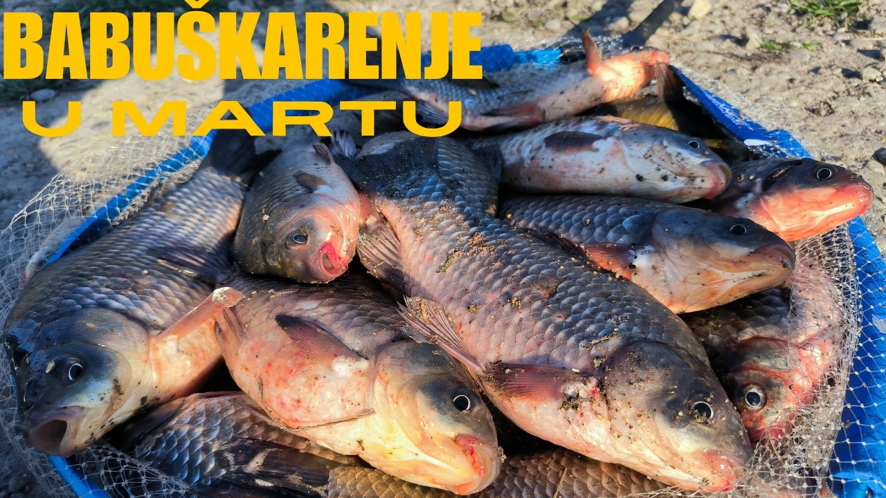 Babuškarenje s proleća