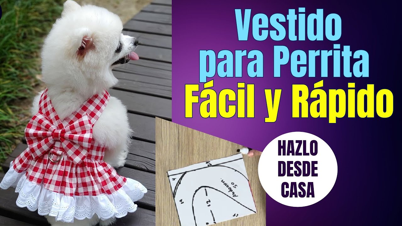 DIY Como hacer un vestido para tu perrita Con Molde desde Casa