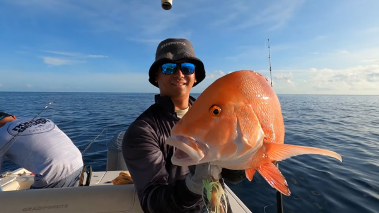 Fishing Whitsundays (Great Barrier Reef) - Red Emperor, Nannygai & Coral Trout