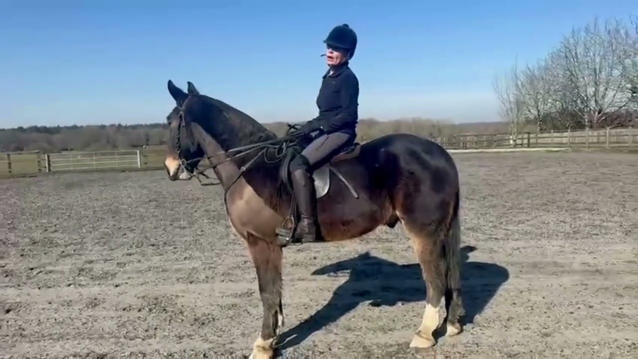 Lynn Russell's Everyday Riding