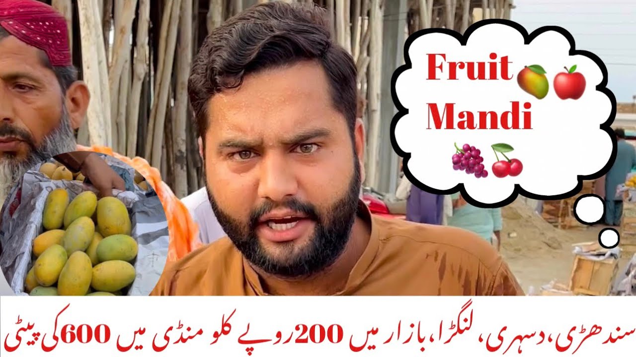 Biggest and cheapest Mango Wholesale Market Fruit Business