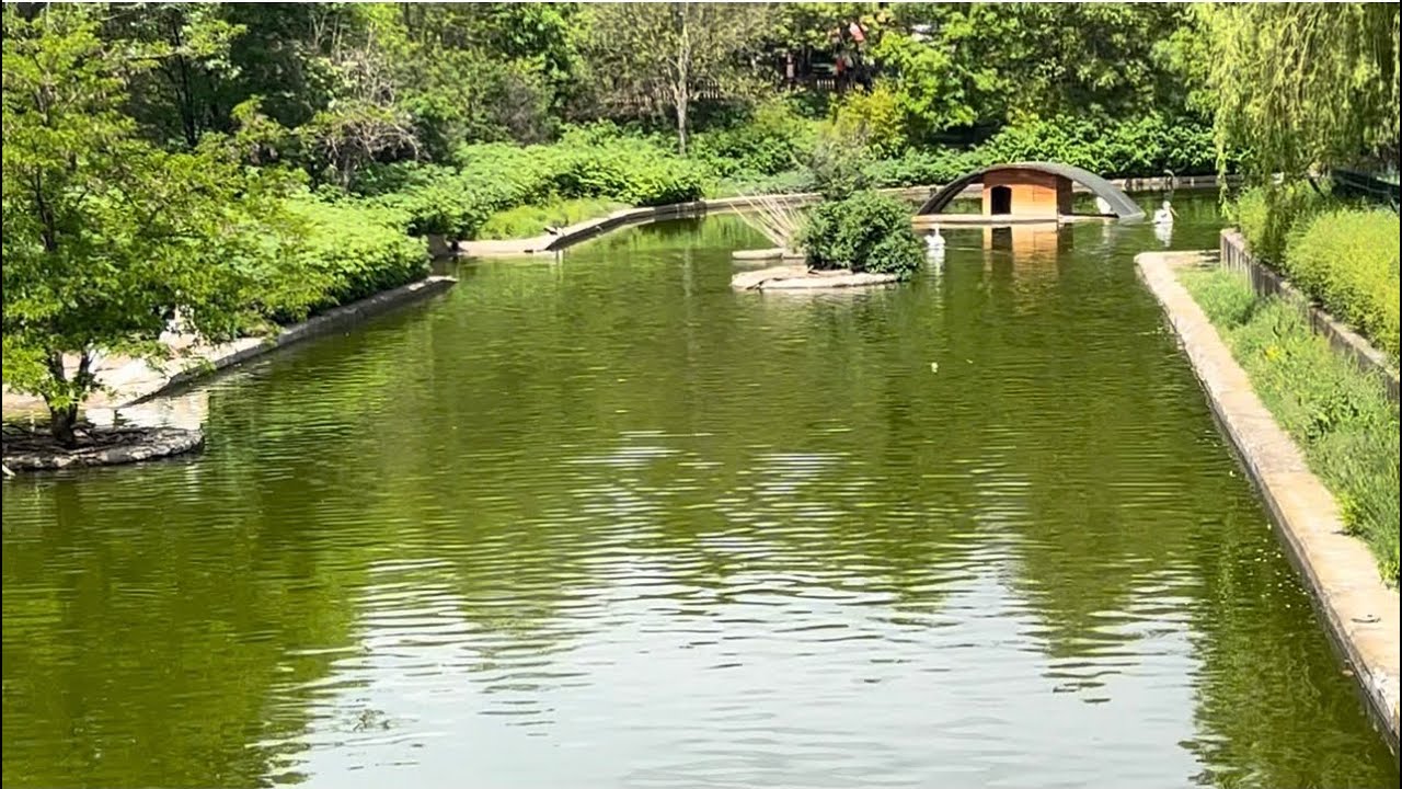 Софийский зоопарк ,Болгария #lifestyle #travel #софия#путешествие#животные#bulgaria #zoopark #sofia 