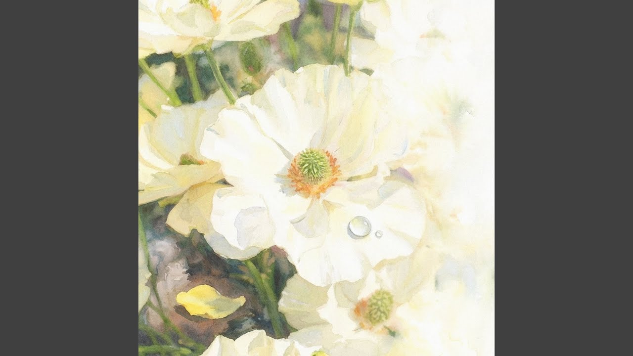 Anemone