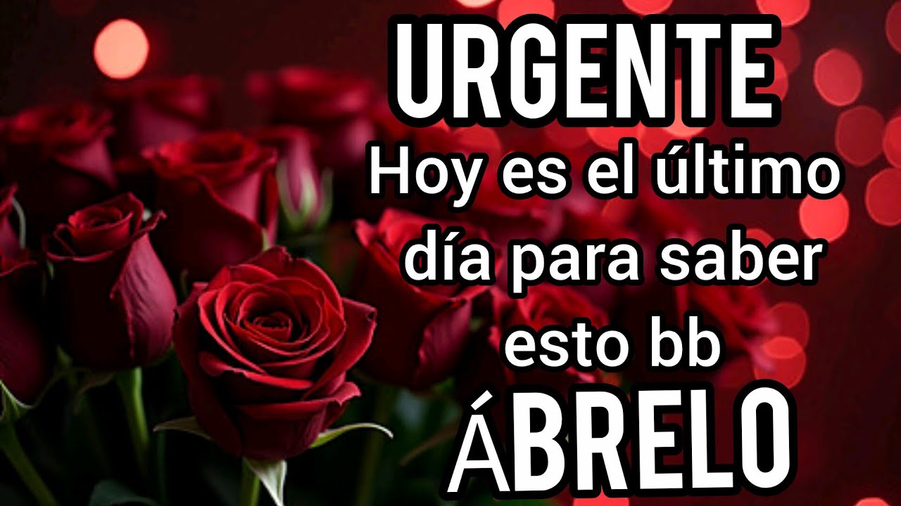 mi amoresto es URGENTE QUERIDA YA ES HORA Mi princesa esto es URGENTE escucha este MENSAJE DE AMOR b