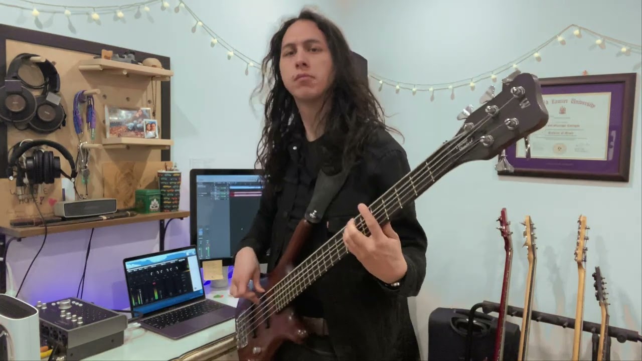 Burn it to the Ground by Nickelback (Bass Cover)