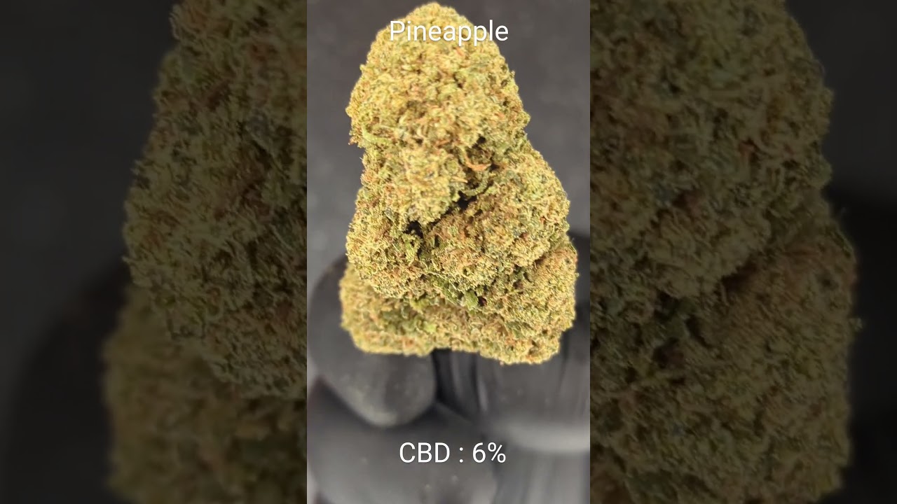#PINEAPPLE #FLEUR DE CBD #CBD #GREENCOMETCBD.FR #CBD SHOP
