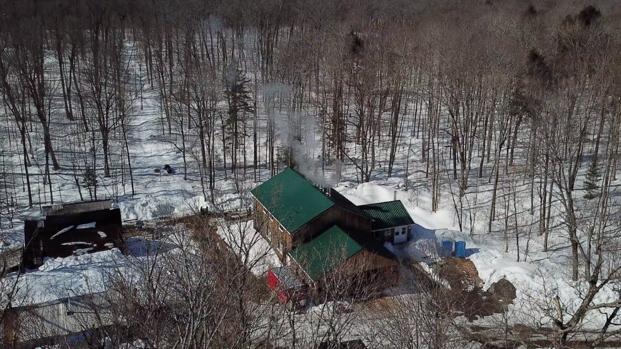 SEGUIN SUGAR BUSH 
