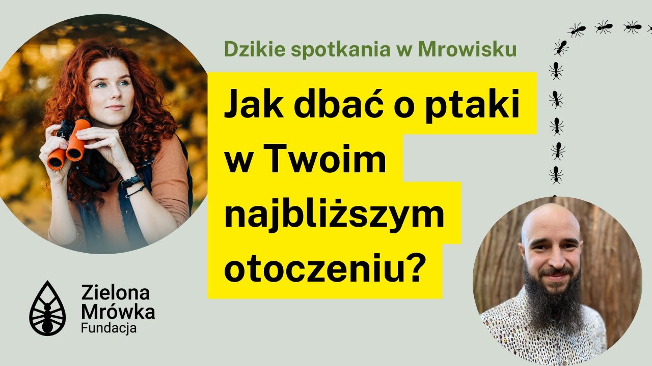 Jak dbać o ptaki w Twoim najbliższym otoczeniu? Opowiada Karolina Skorb