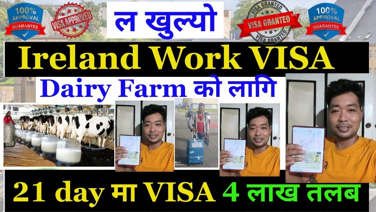 ल खुल्यो Ireland  Work VISA Dairy Farm को लागि 21 Day मा VISA 4 लाख तलब  | Ireland Work Visa 