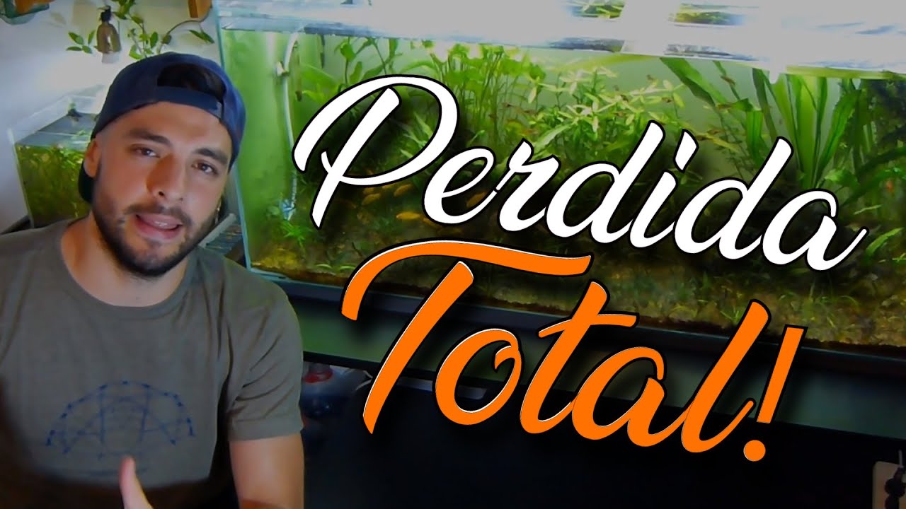 🌀 ¡CIANOBACTERIA 🥬 Y PERDIDA TOTAL! 🤢🌿