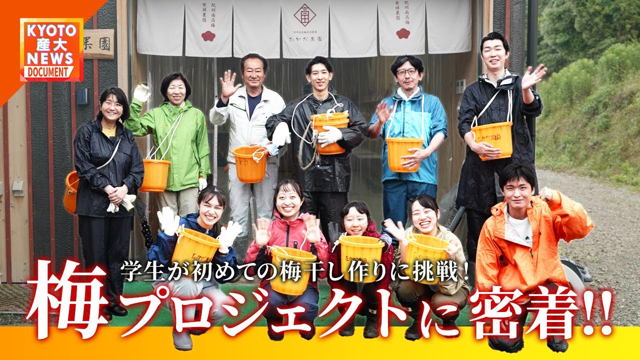 【KYOTO産大ドキュメント】学生が梅干し作りを体験！梅プロジェクトに密着！【生態系サービス研究センター】