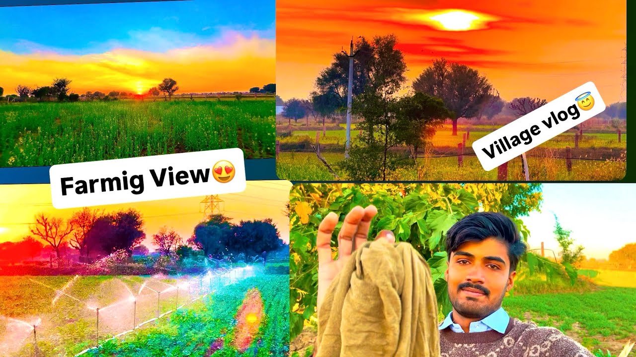 Farmig view 😇😍😇village volg#trending #ytshorts #youtubevideos #youtube #villagelife 