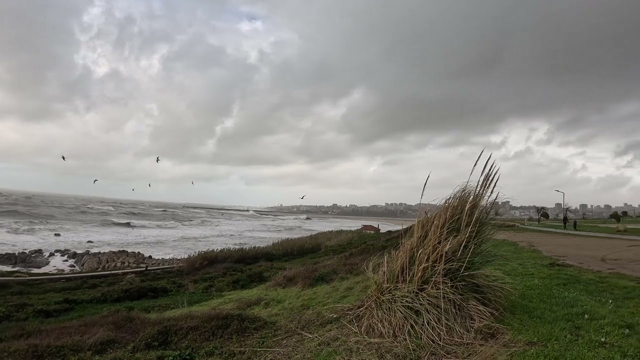Storm Leonardo hits Spain and Portugal #portugal #storm #tormenta #porto #vilanovadegaia #playa #mar