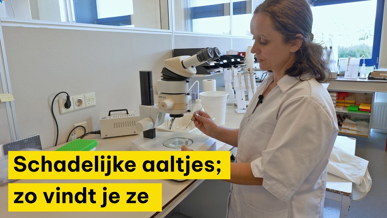 Schadelijke aaltjes en aardappelmoeheid; inzicht door onderzoek