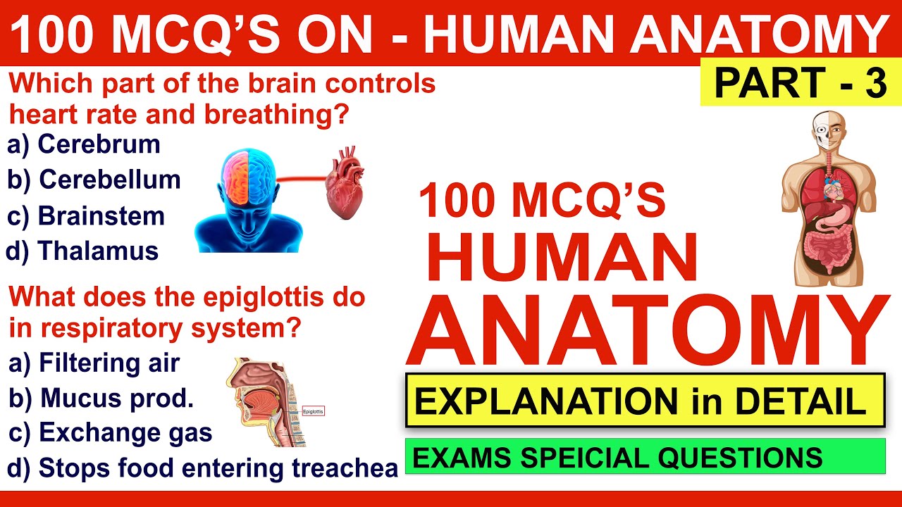 100 anatomy quiz question and answers | part 3 | mcqs on anatomy |general anatomy mcqs #anatomyquiz