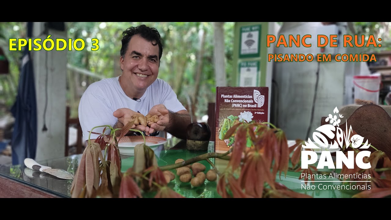 PANC DE RUA: Pisando em Comida - Episódio 3 | #pancnaveia #valdelykinupp