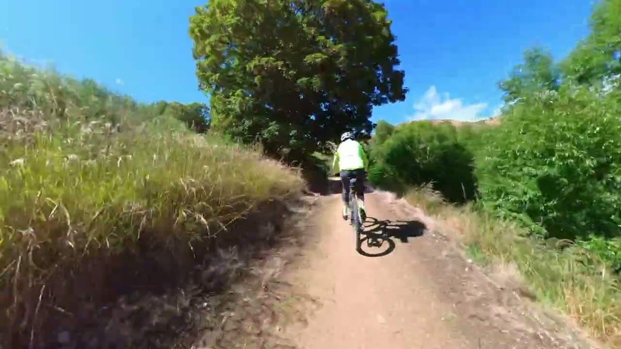 Roxburgh to Miller's Flat