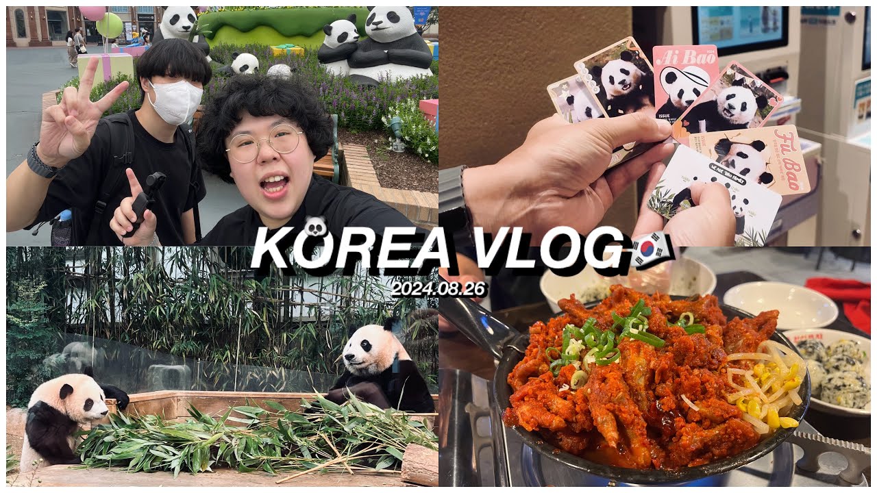 ［Korea Vlog Ep.4］愛寶樂園GoGo！這次終於見到愛寶＆雙胞胎🐼熊貓世界大砸錢💸夜間遊行太讚啦🎠首戰辣雞腳🥵很好吃耶🐓｜GangGang 강강아줌마