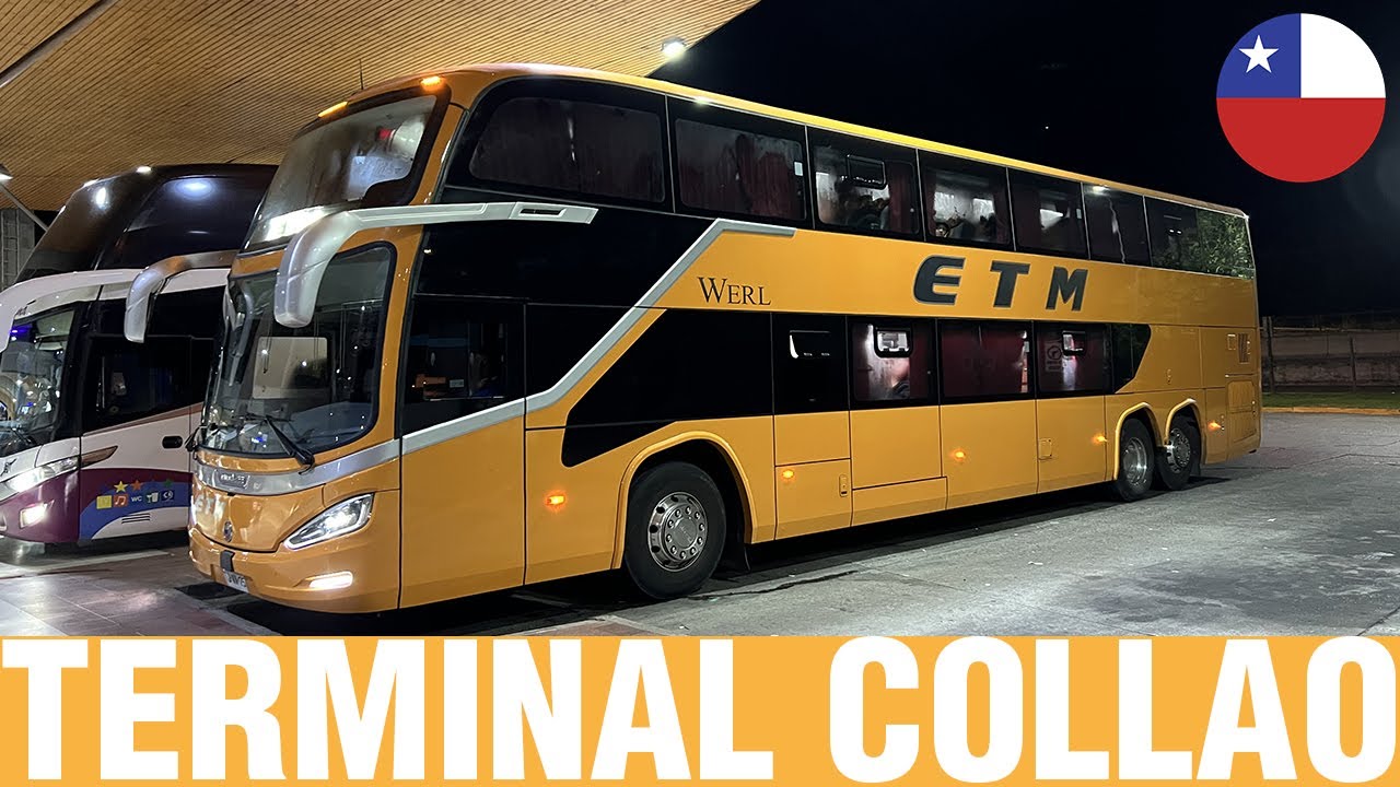 Terminales y Rodoviarios #39 | Movimiento de Buses en Terminal Collao - Concepción 🇨🇱
