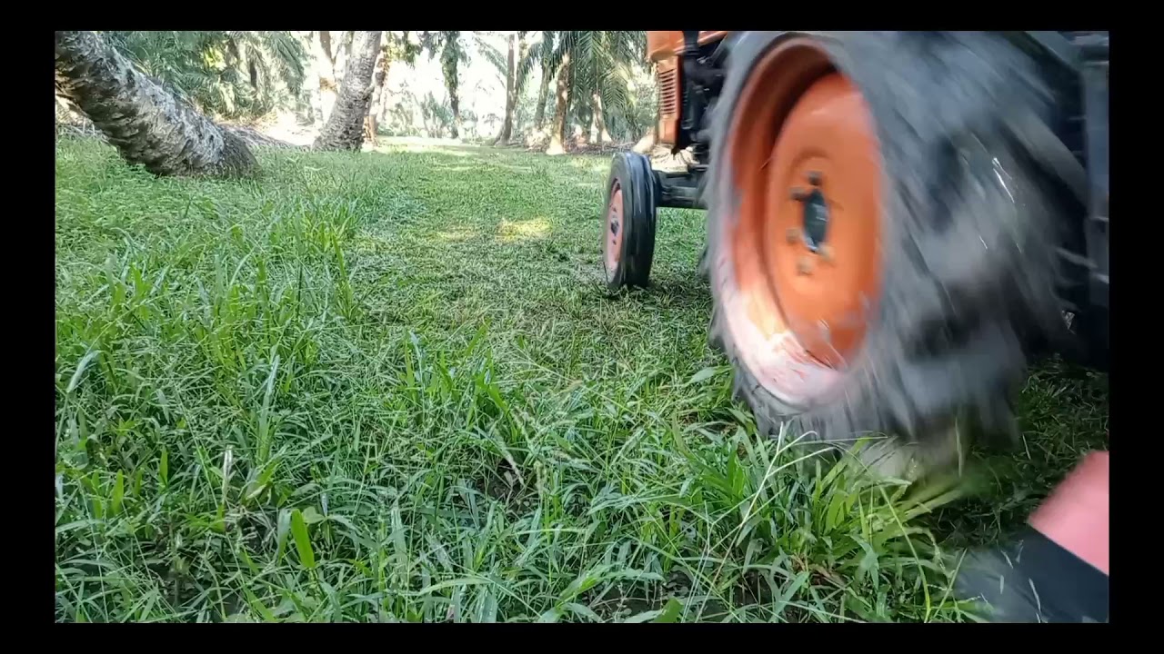 kubota tractor l2201 mini + cutter grass #kubotatractor #farming
