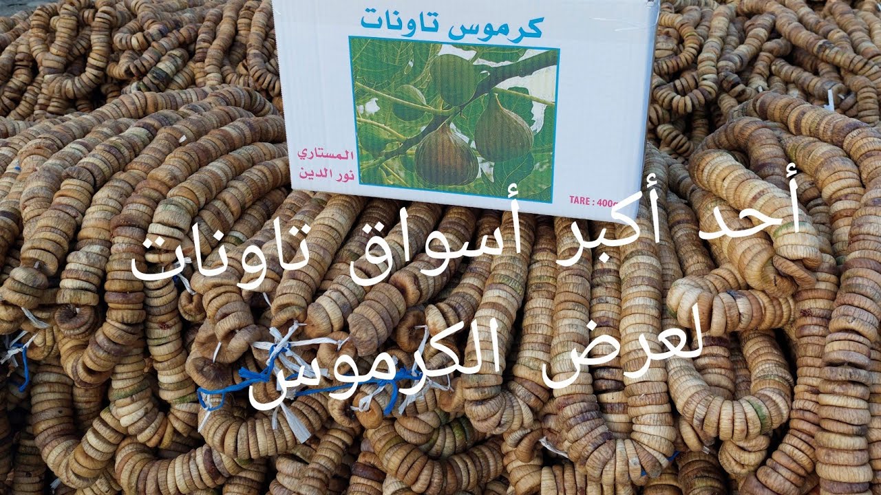 جوله في احد أكبر الأسواق الأسبوعية لبيع التين المجفف(الكرموس)