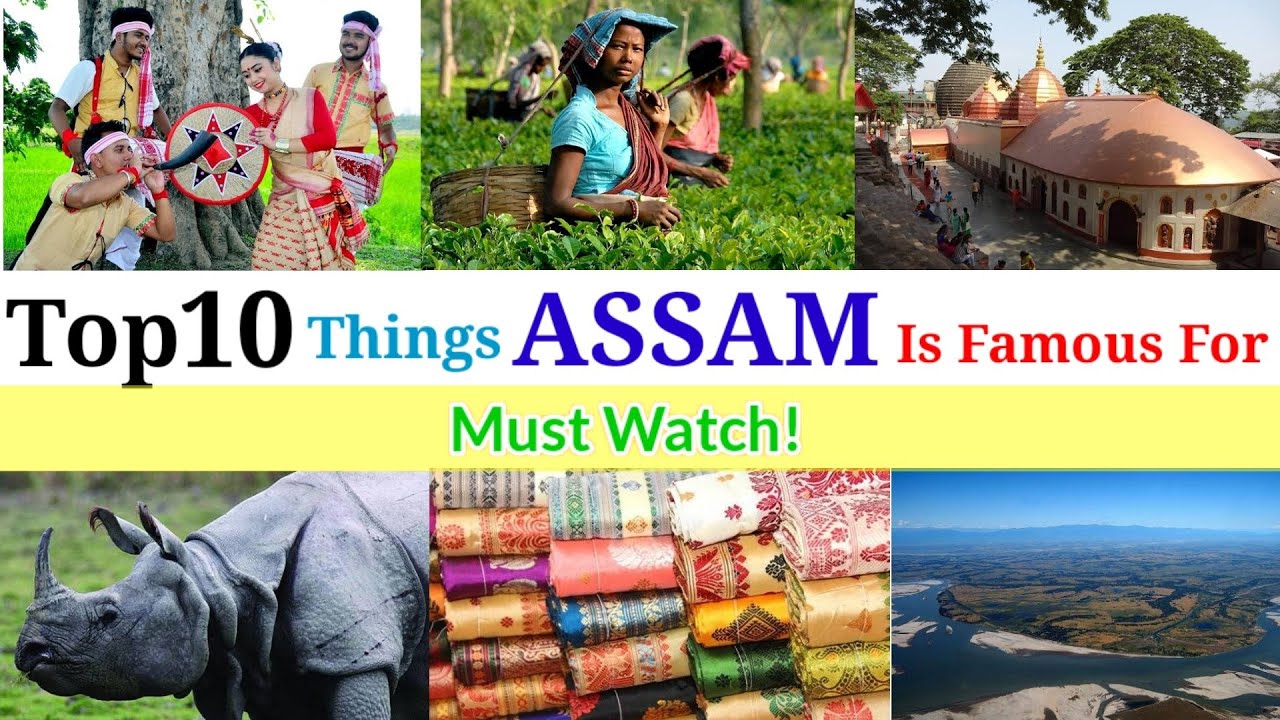 Top 10 Things For Which Assam Is Famous In India And All Over The World || Assam Is Famous For