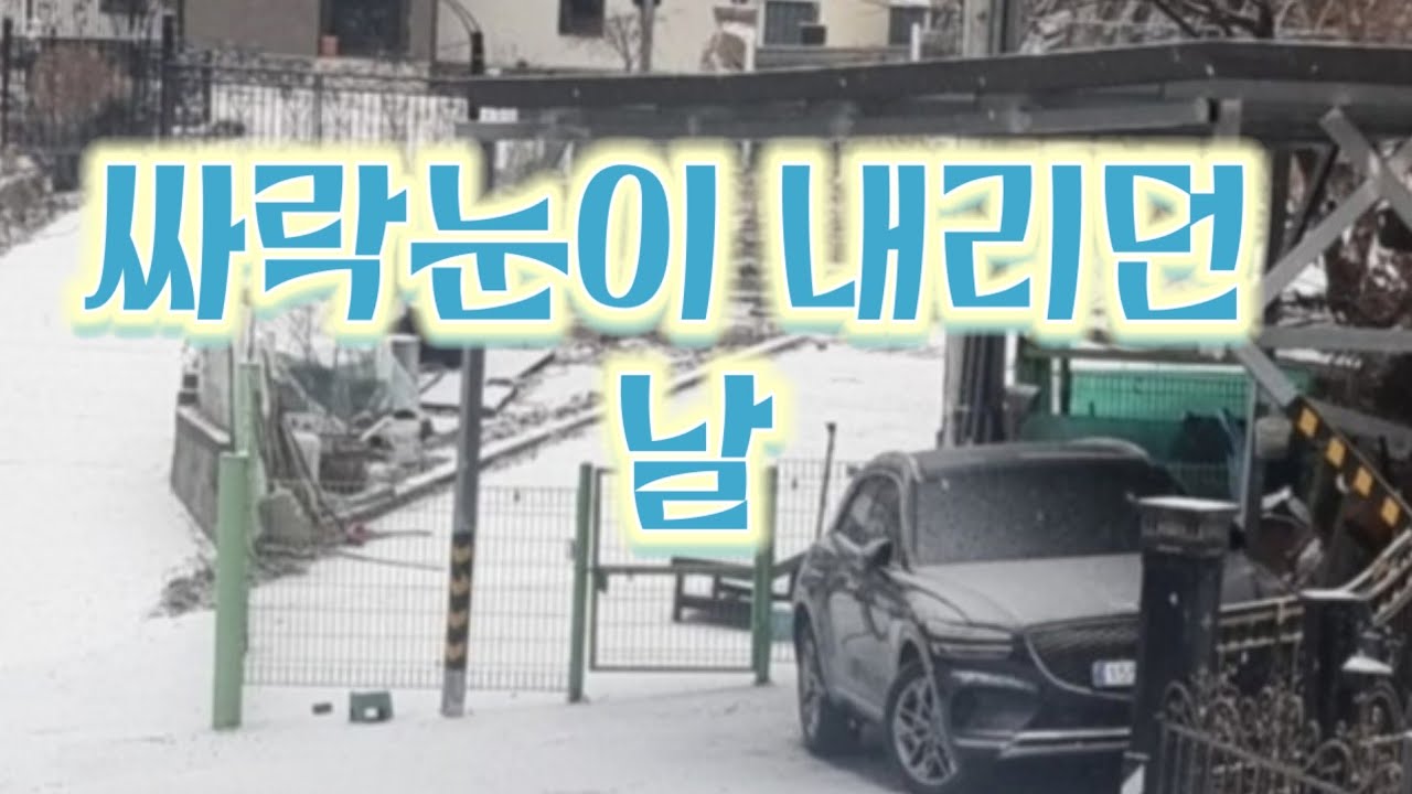 싸락눈 내리던 날 / 부엉이의 뜨락/SUNO 작곡 