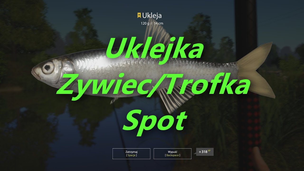 Russian Fishing 4 : Krety Strumyk / spot Uklejka / Poradnik PL