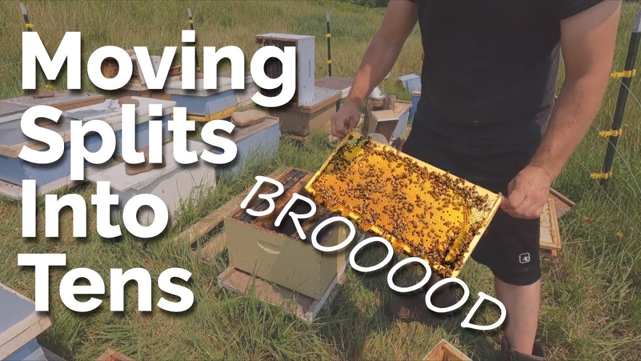 Moving Splits Into Ten Frame Boxes Part 2
