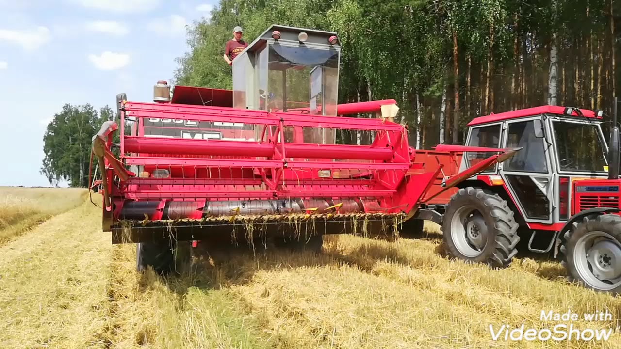 Żniwa 2019 MF 530L w akcji (👇opis👇)