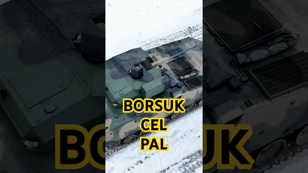 Borsuk w akcji🎯 CEL, OGIEŃ🔥 Tak strzela 16. Dywizja