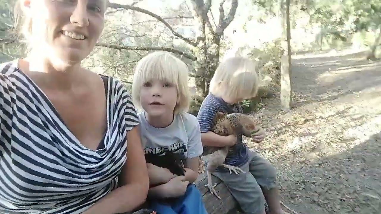 A Day in the Life on Our Forest Farm (Solo Parenting in Portugal) 🌲🇵🇹