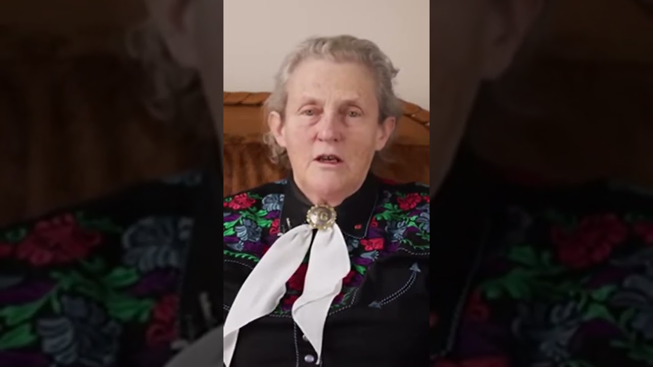 How Fast-Food Giants Adopted Dr. Grandin's Animal Welfare Standards