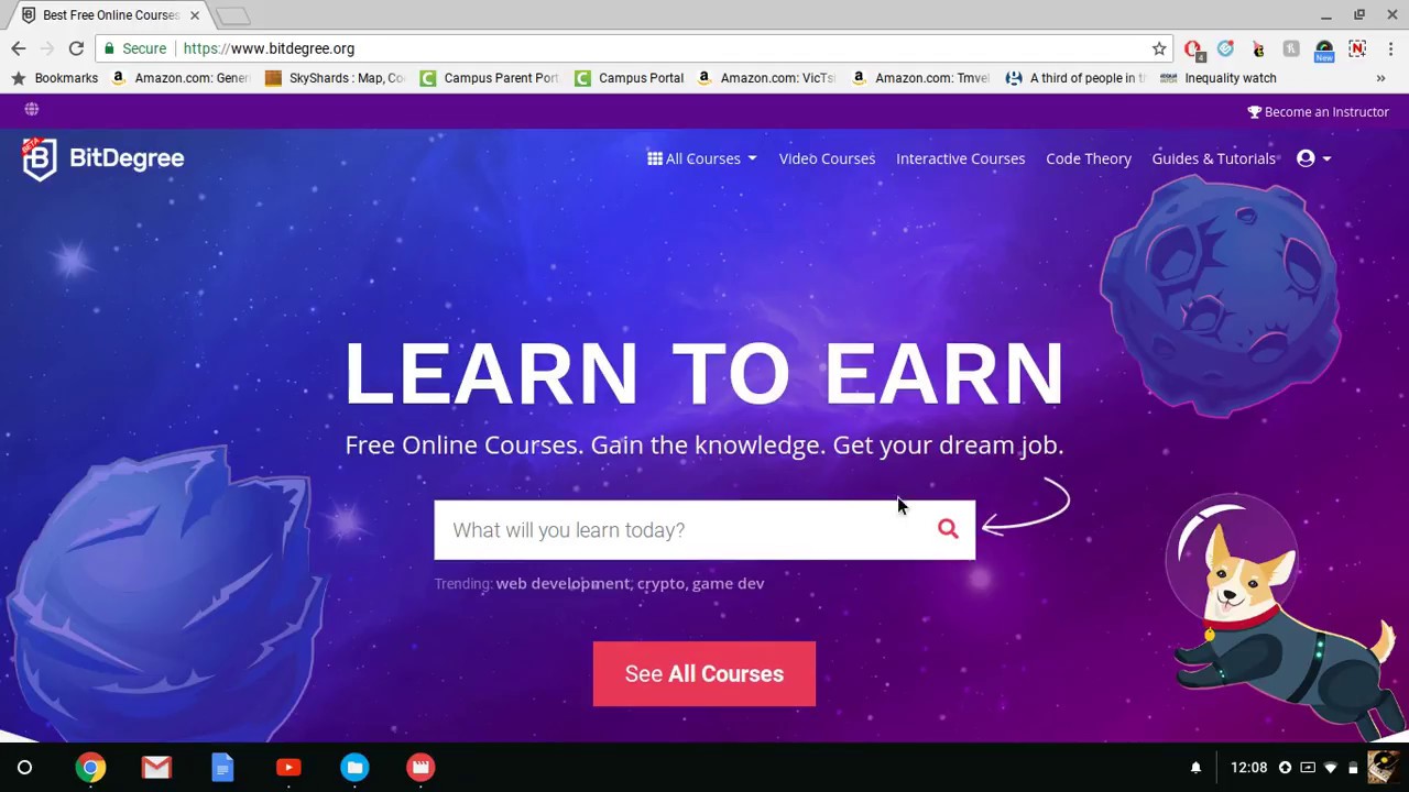 bitdegree free online courses