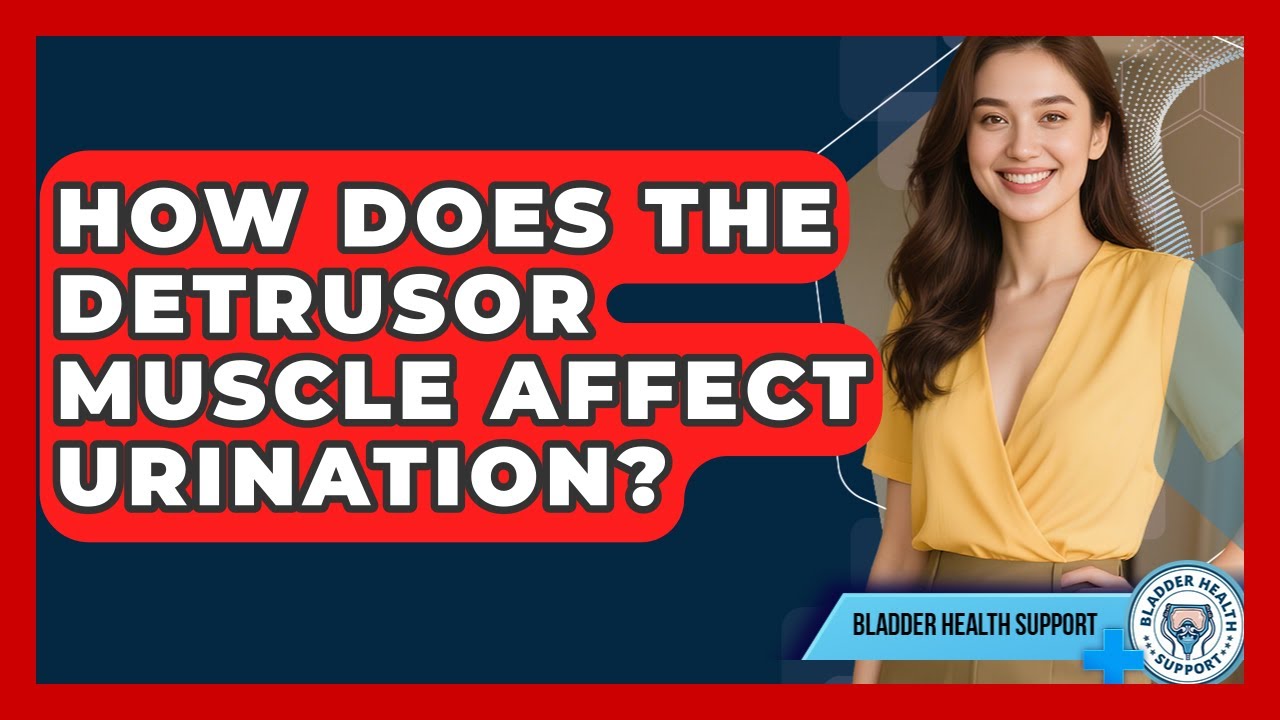 How Does The Detrusor Muscle Affect Urination? - Bladder Health Support