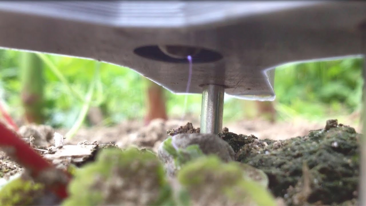 Fundamentals of electric weed control