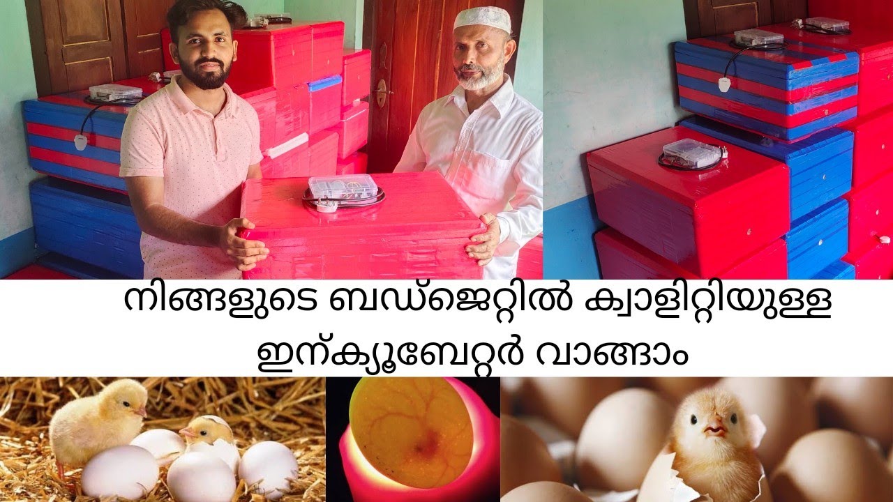 വൻ വില കുറവിൽ കോഴി കുഞ്ഞുങ്ങൾ മുതൽ ഇന്ക്യൂബേറ്റർ വരെ|Incubator Sale Low cost|Kozhi farm|Naadan Kozhi