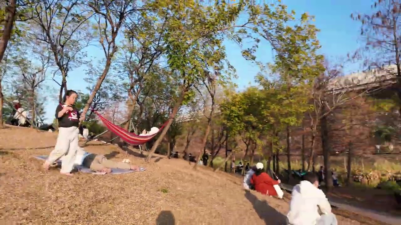 Walking Through Chinese Parks: A Favorite Hangout for Older Men (Subtitles) 4K